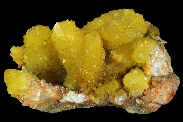 Sunshine Cactus Quartz Crystal - South Africa #96265